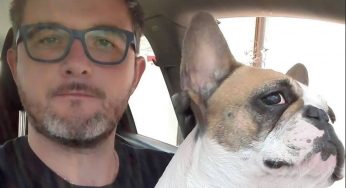 Violentissimo scontro tra moto e auto: morto noto ex consigliere comunale di 41 anni