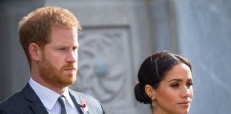 meghan harry