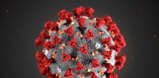 Bollettino Coronavirus