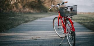 bonus mobilità sito tilt