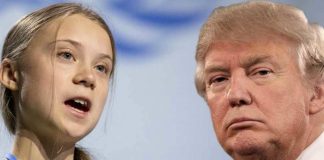 greta thunberg donald trump twitter
