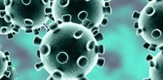 Bollettino Coronavirus