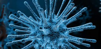Coronavirus