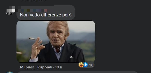 commento su ruggero de ceglie