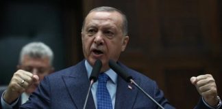 insultare erdogan reato