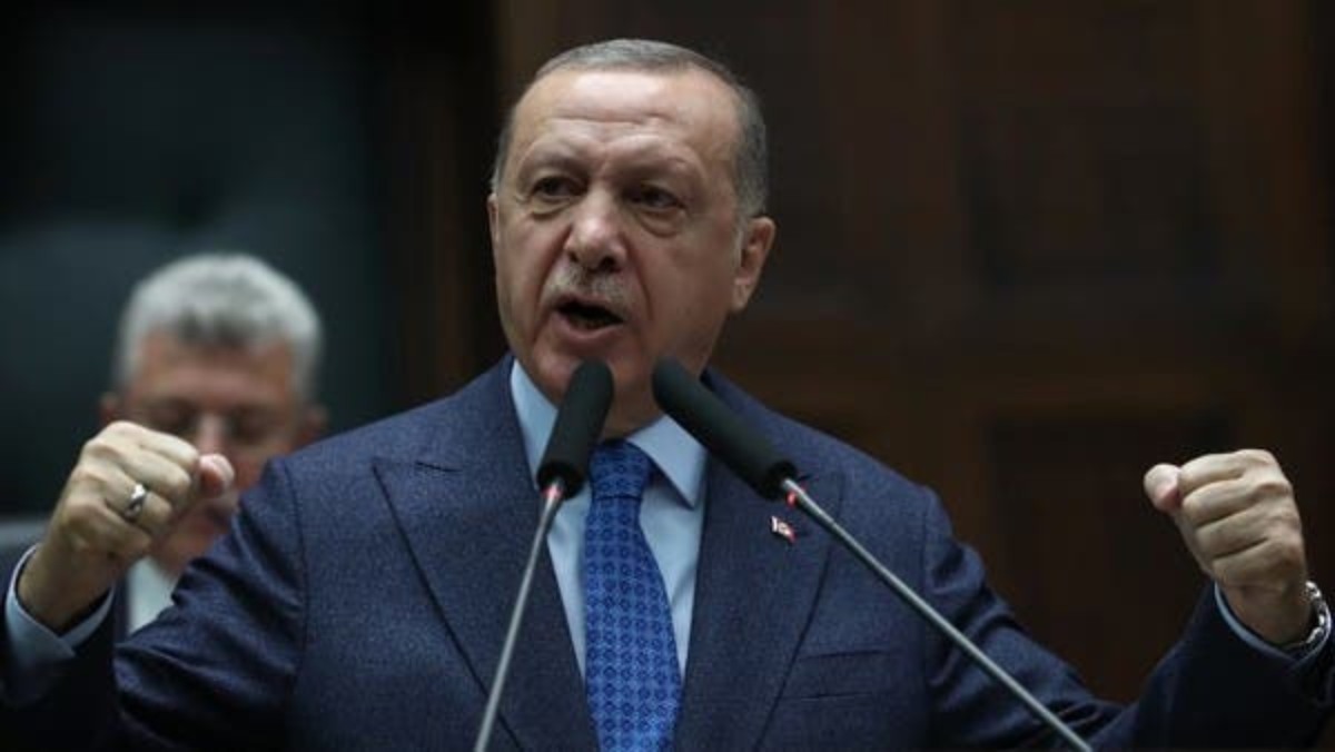 insultare erdogan reato