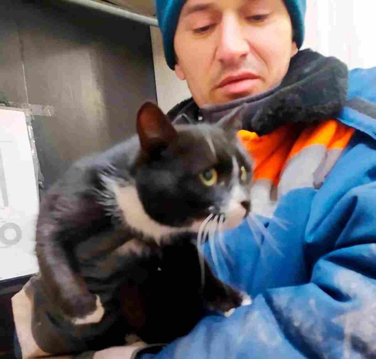 Gatto salvato in Russia diventa viceministro protezione animali