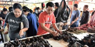 mercato indonesia pipistrello covid
