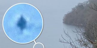 mostro loch ness foto
