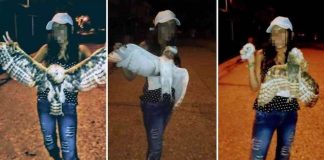 ragazza uccisa gufo decapitato