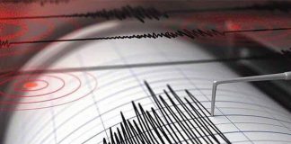 terremoto generica