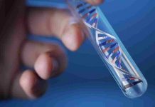 Test del DNA scopre la verità sul padre e sulla sorellastra