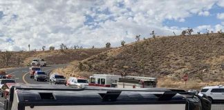 autobus grand canyon