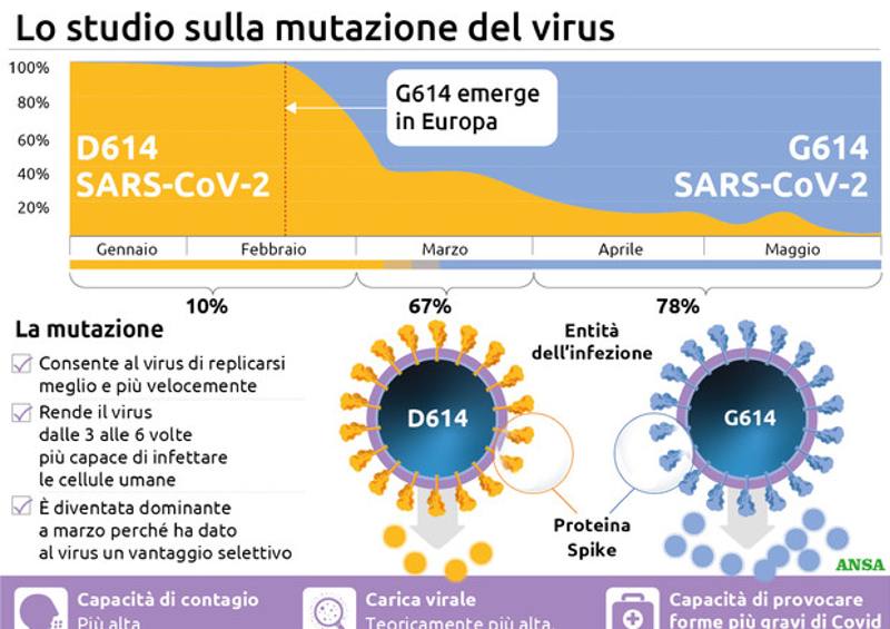 Ceppi coronavirus nuove mutazioni