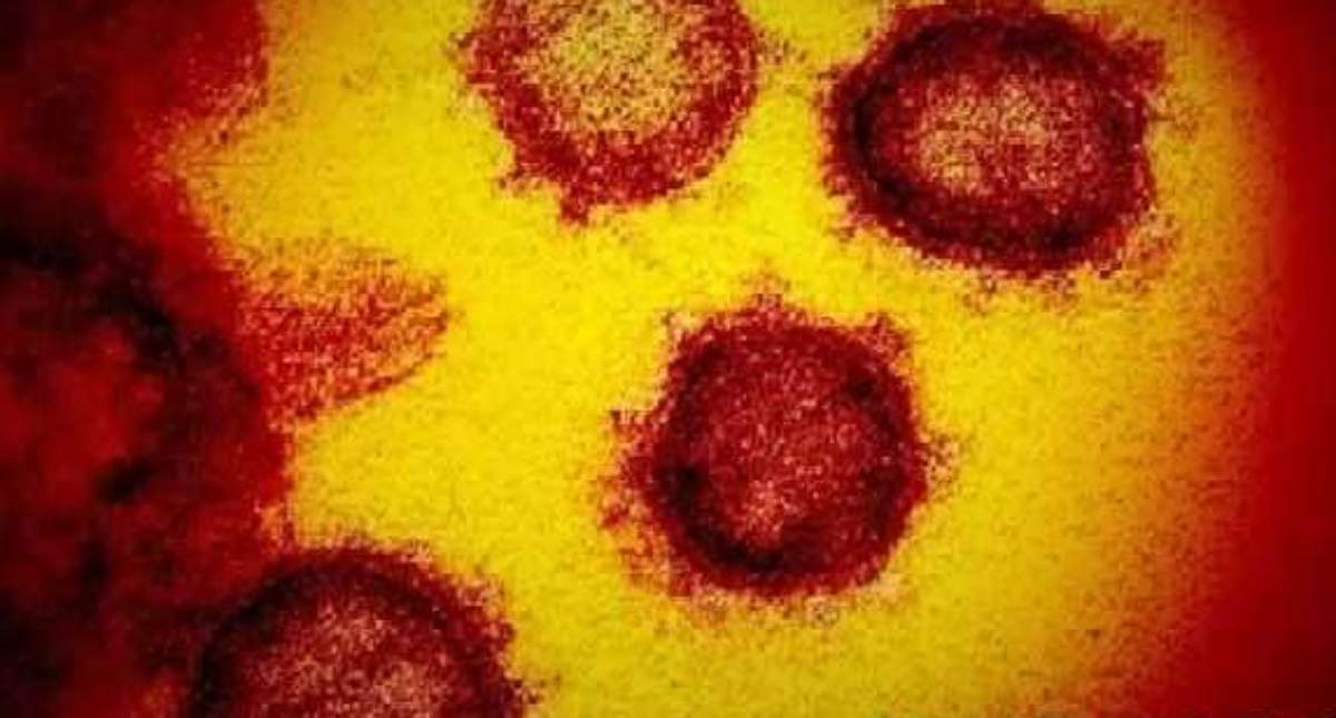 coronavirus suicidio