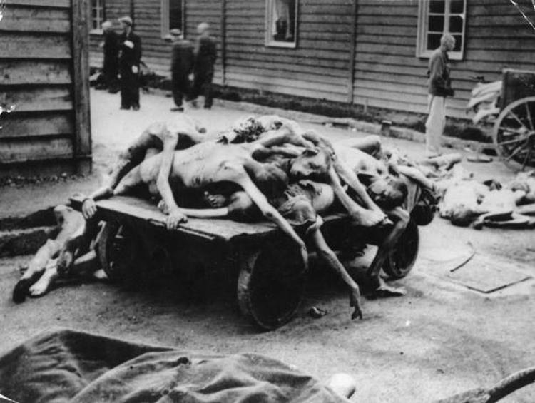 cadaveri Auschwitz