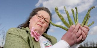 jemima veggente asparagi previsioni 2021