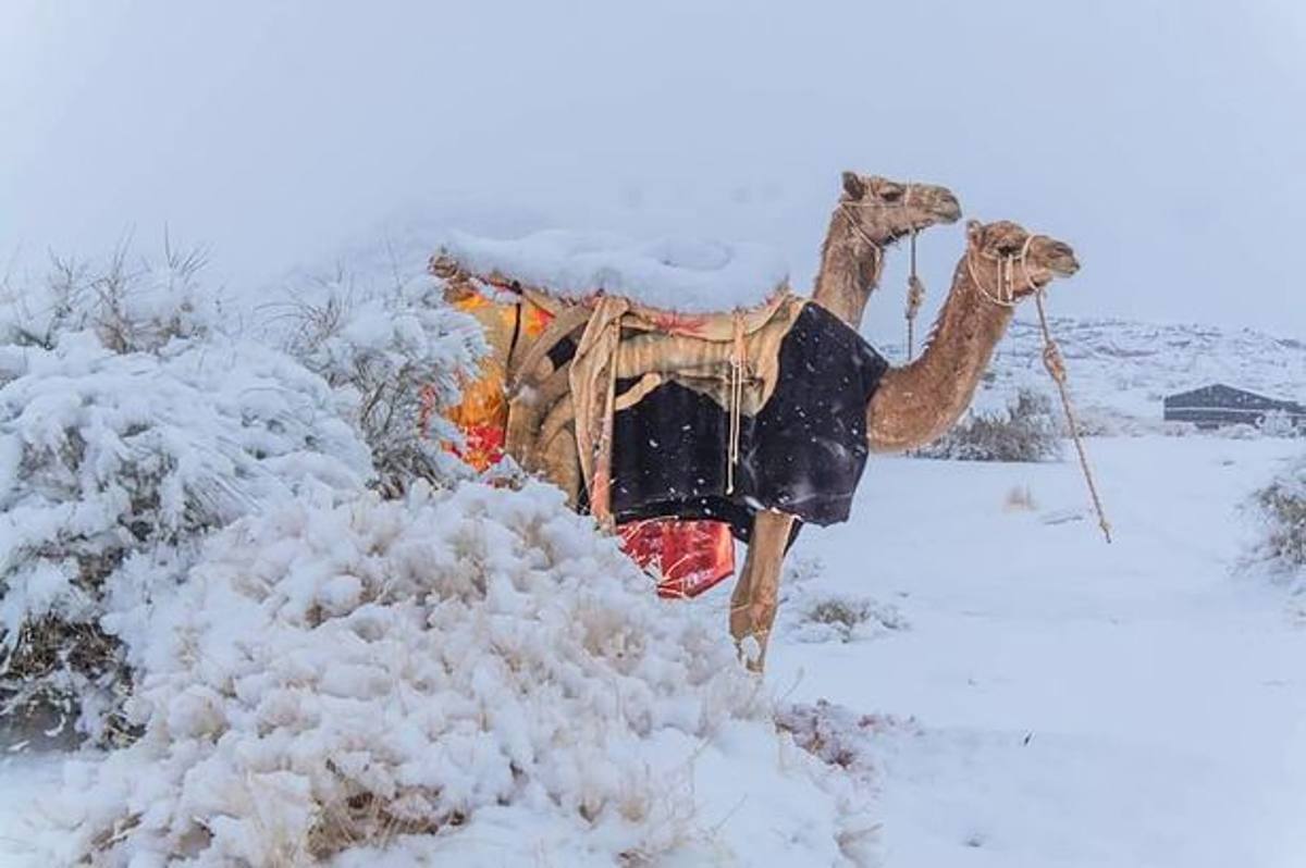 Neve deserto segno fine del mondo isaia profezia