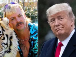 donald trump joe exotic grazia