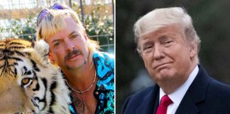 donald trump joe exotic grazia