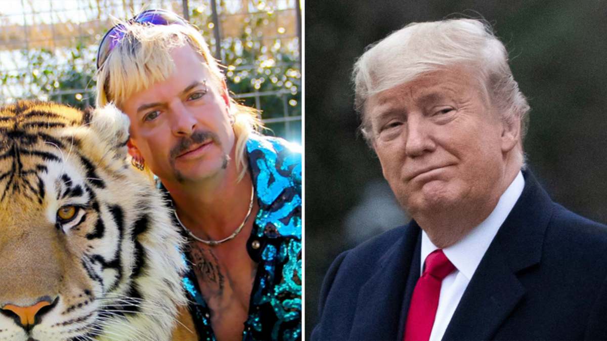 donald trump joe exotic grazia