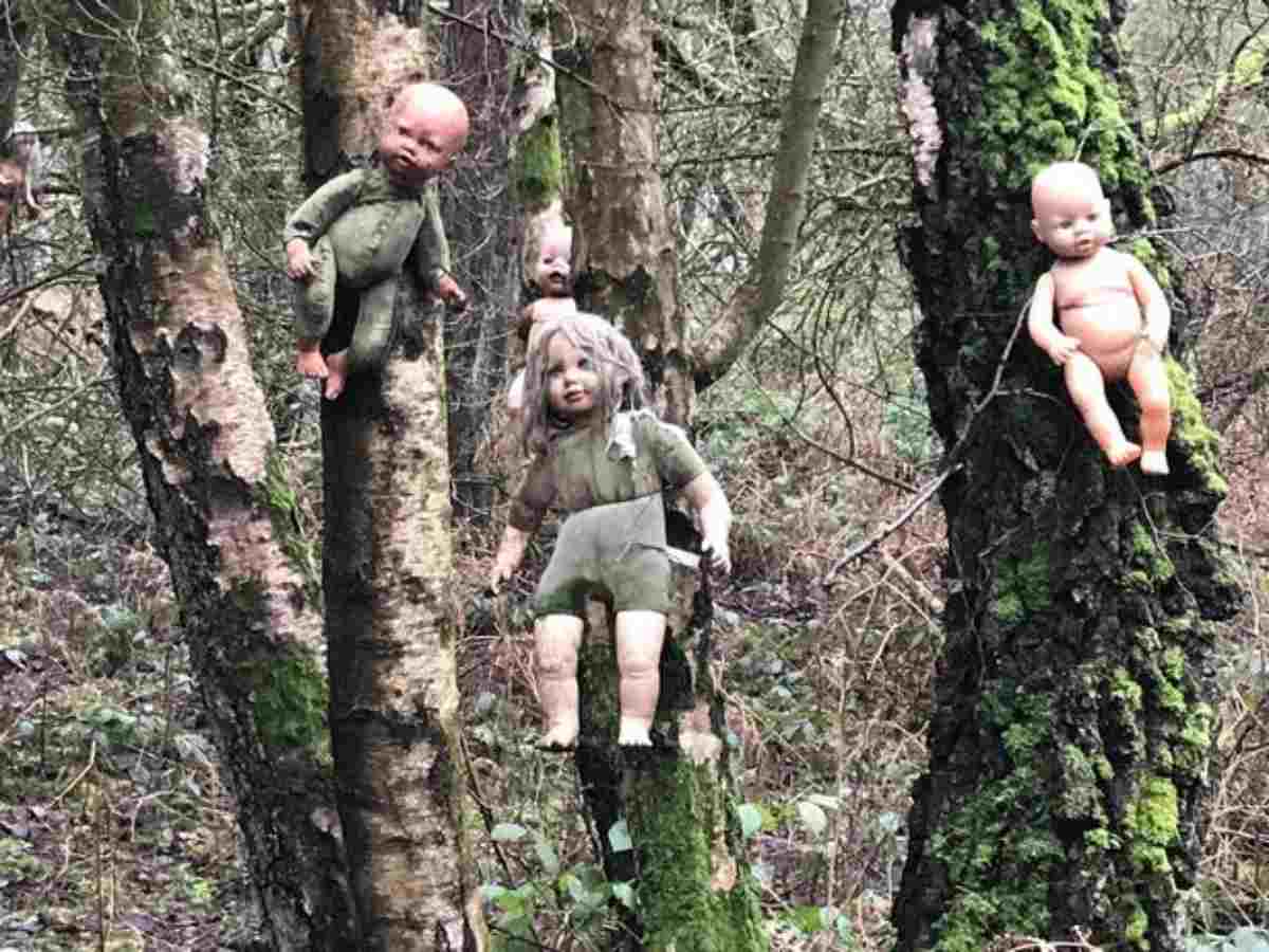 alberi bambole inchiodate