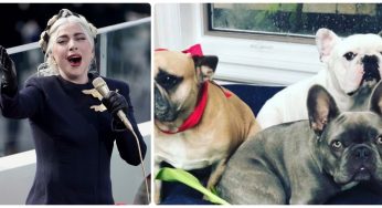 Brutte notizie per Lady Gaga: bandito spara al dogsitter e rapisce i suoi cani