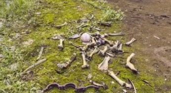Mistero su Chernobyl: utente di TikTok ha trovato delle ossa umane su Google Maps