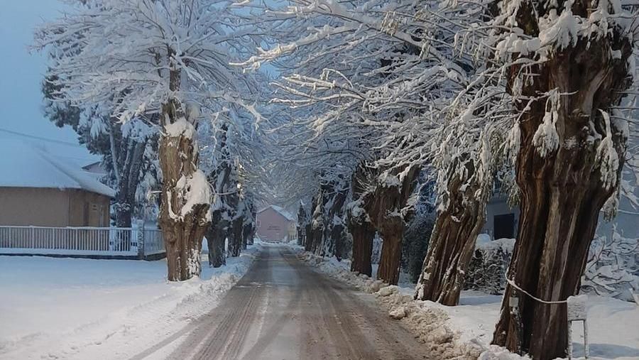neve