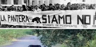 Pantera-movimento-studentesco-pantera-avvistata-puglia-castellana-grotte