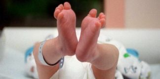 neonato