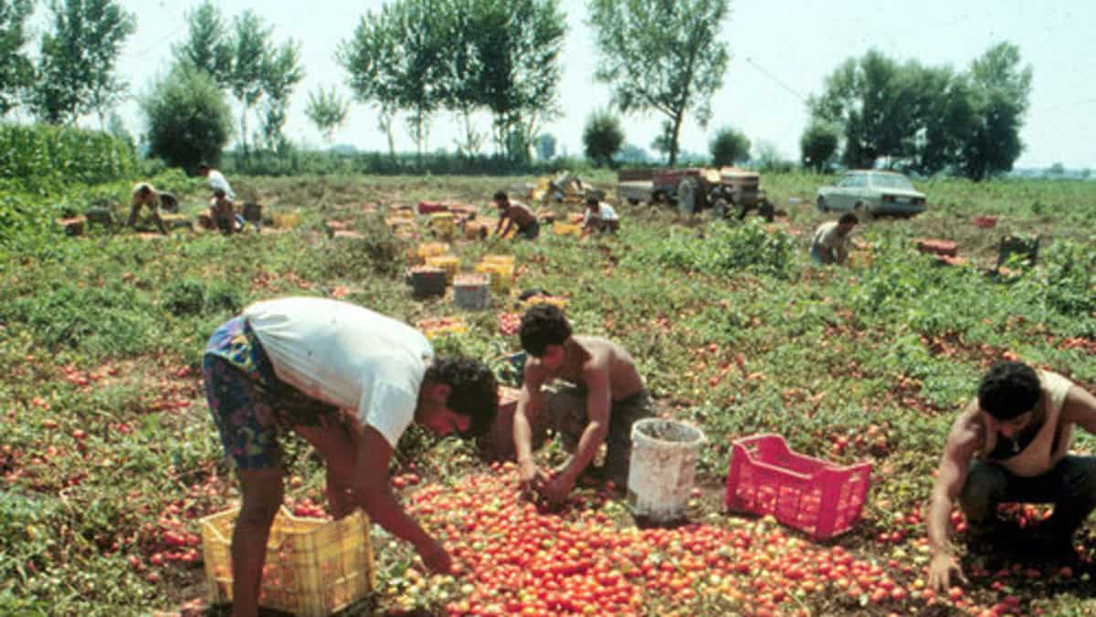 Braccianti agricoli