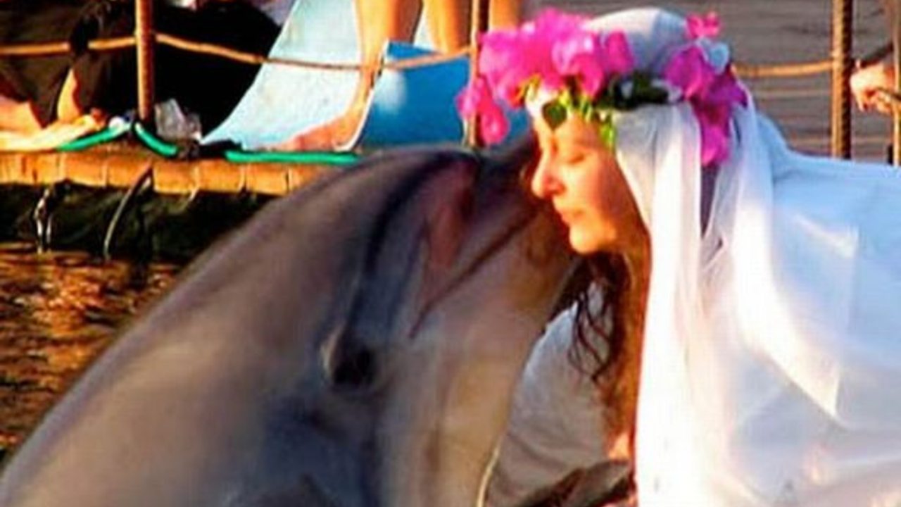 Matrimonio delfino