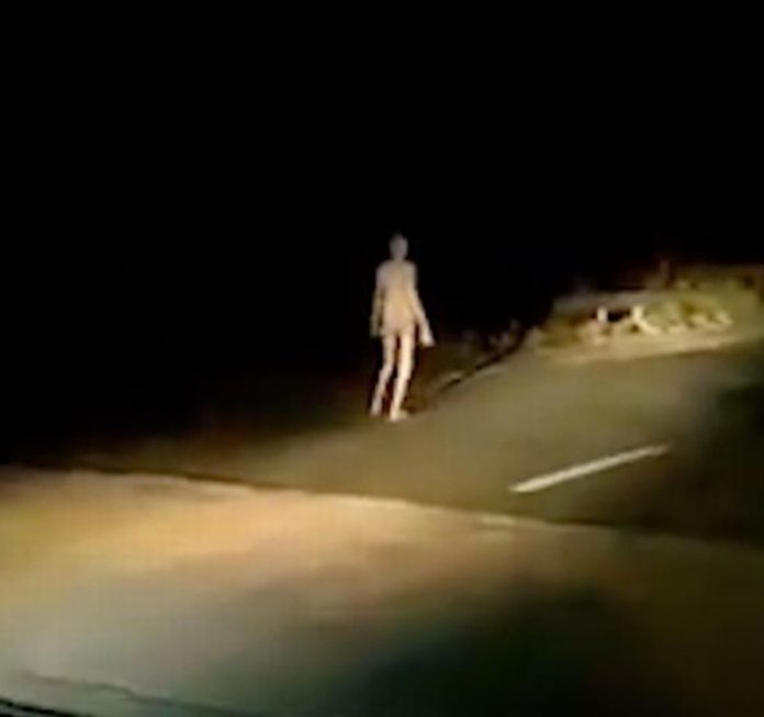 La strana creatura passeggia lungo il ponte, il filmato scatena il web: alieno o umano? – VIDEO