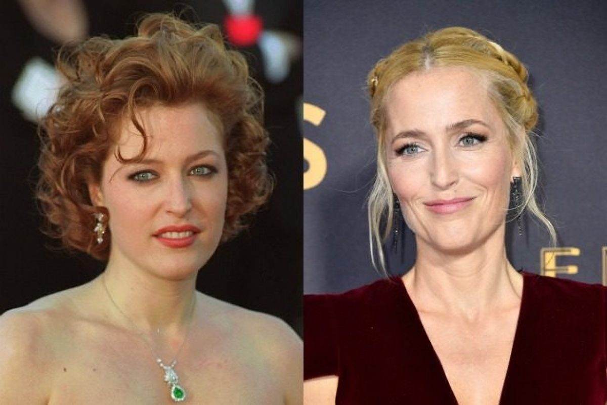 gillian anderson reggiseno