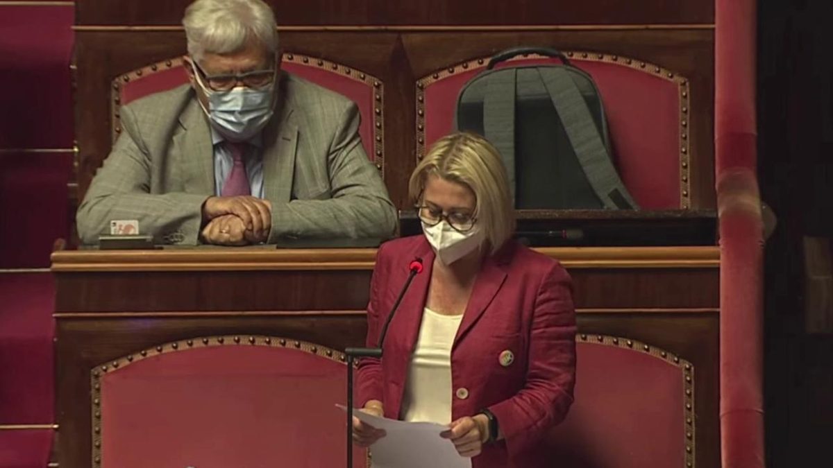 masini-forza-italia-senato-ddl-zan