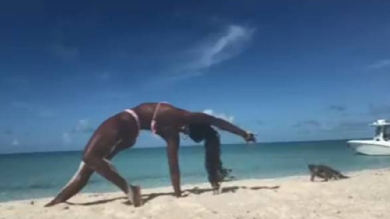 iguana attacca istruttrice yoga