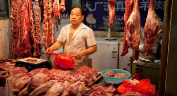 Il Covid non ha insegnato niente: continuano i wet market – le terribili immagini