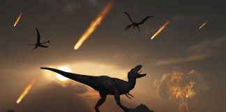 asteroidi e dinosauri