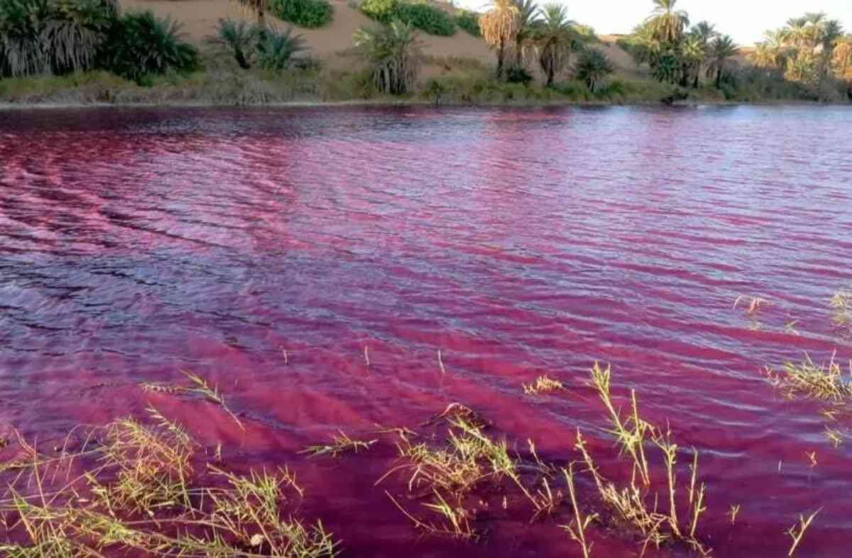 lago giordania rosso sangue profezia biblica