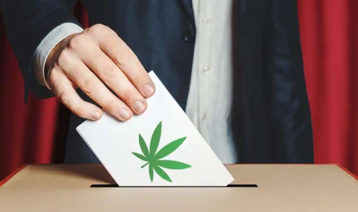 referendum cannabis