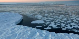 riscaldamento globale covid