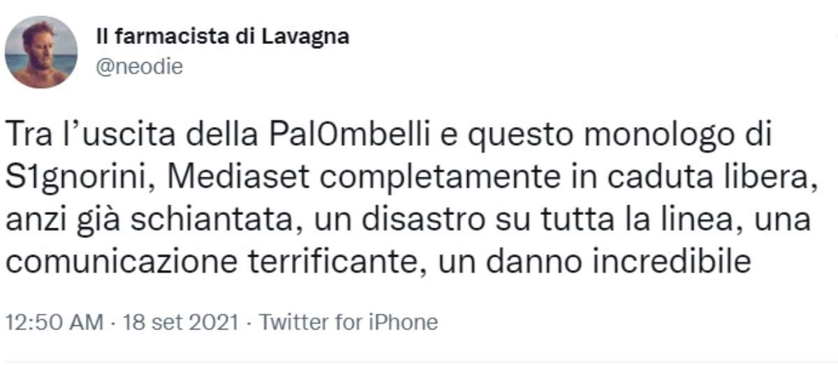 signorini twitter 