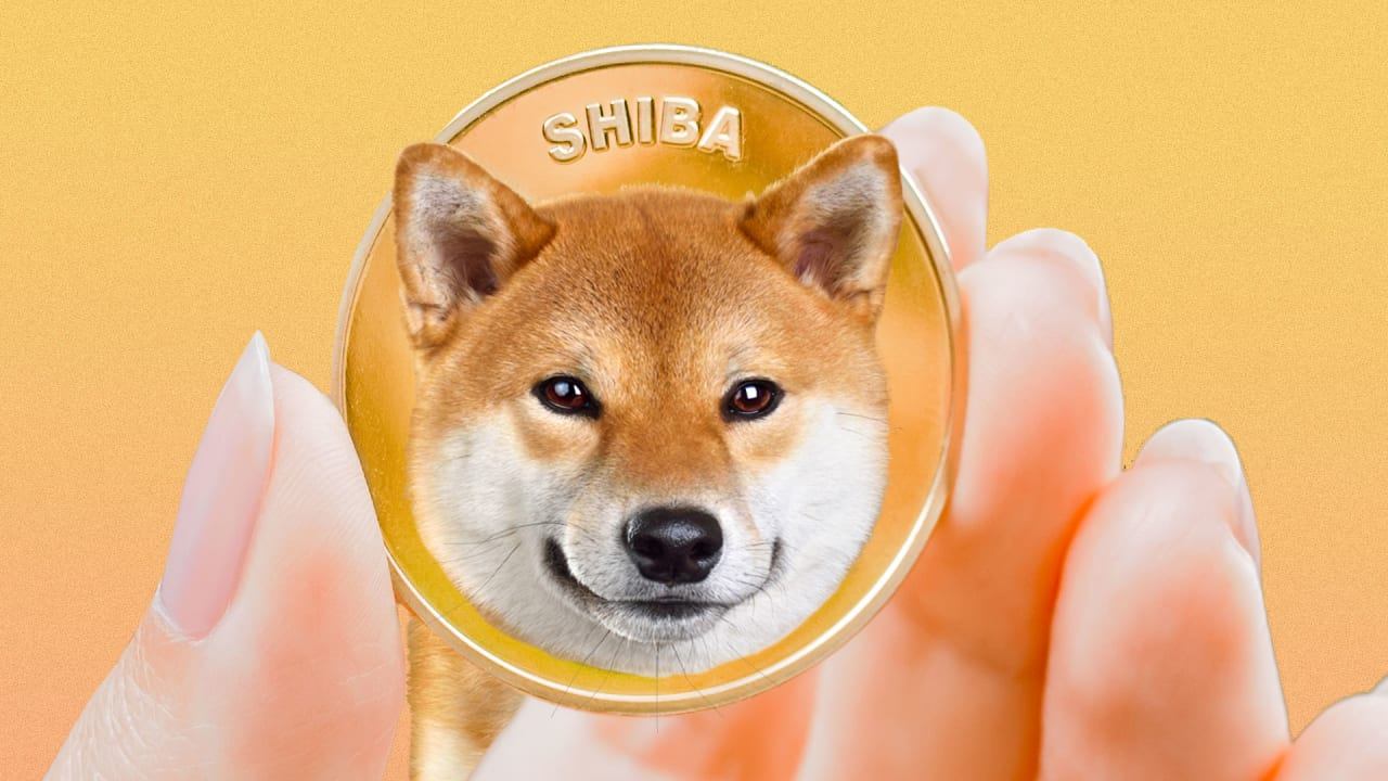 shiba inu meme coin