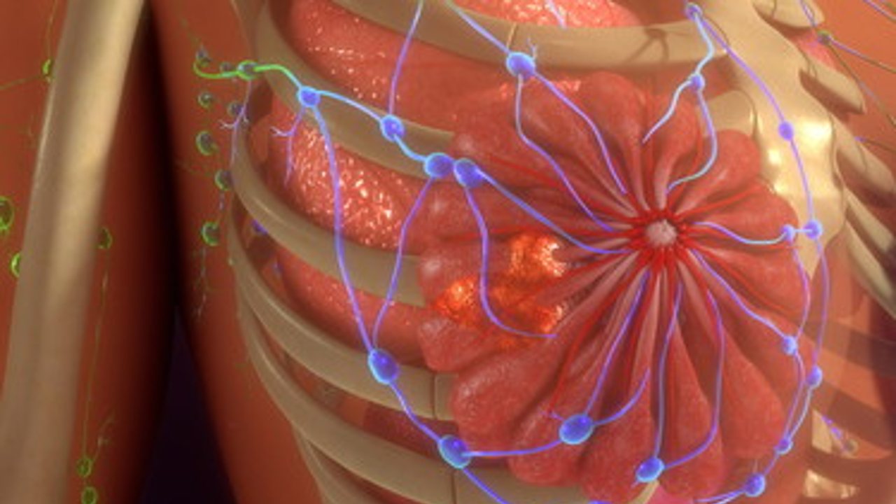 cancro acido palmitico