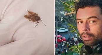 “Ecco perché l’acqua si muoveva”: va a nuotare in piscina e dopo 3 giorni fa una scoperta agghiacciante