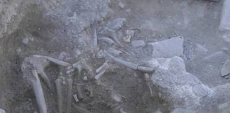 scheletro turchia tsunami