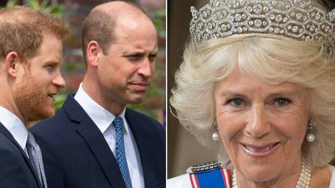 camilla harry william