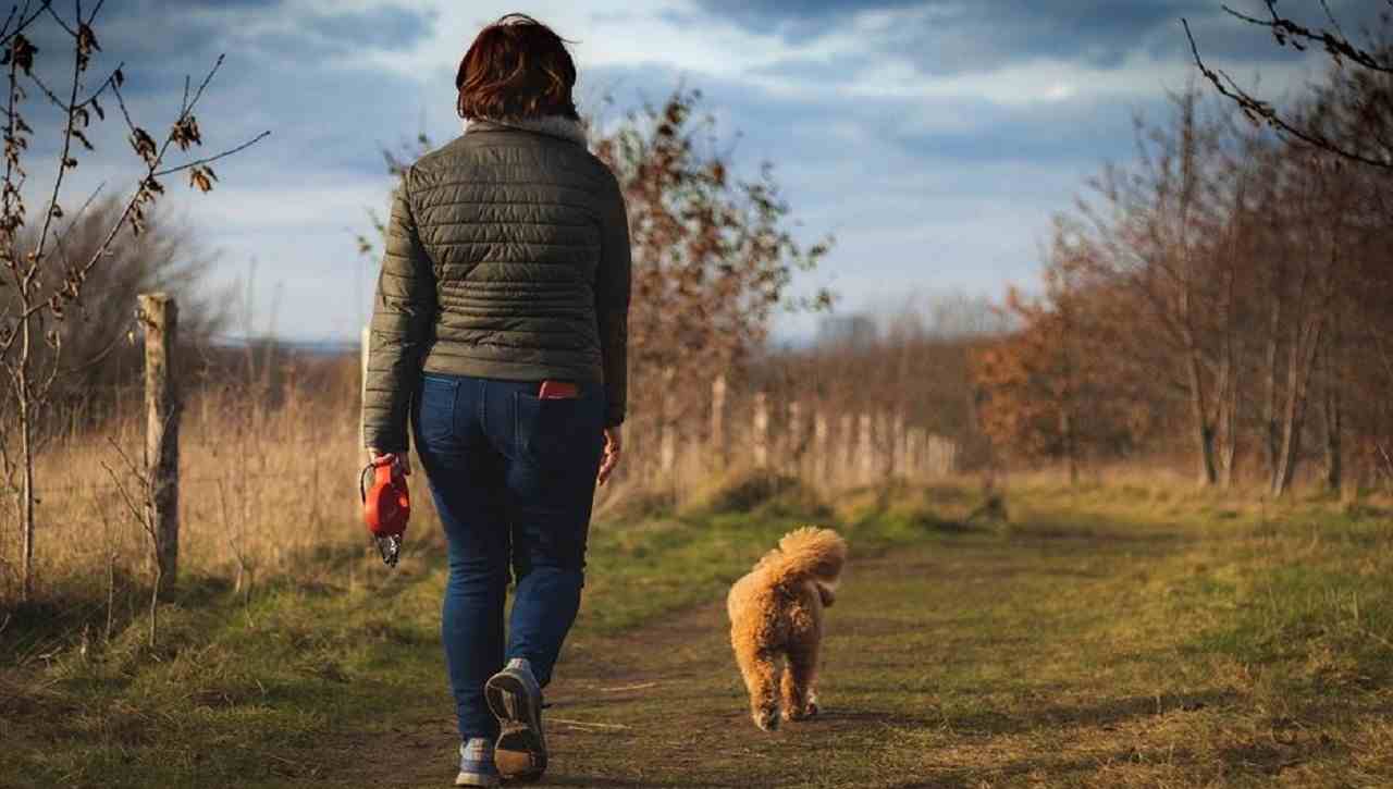 Camminando per 20 minuti la speranza di vita si allunga ulteriormente