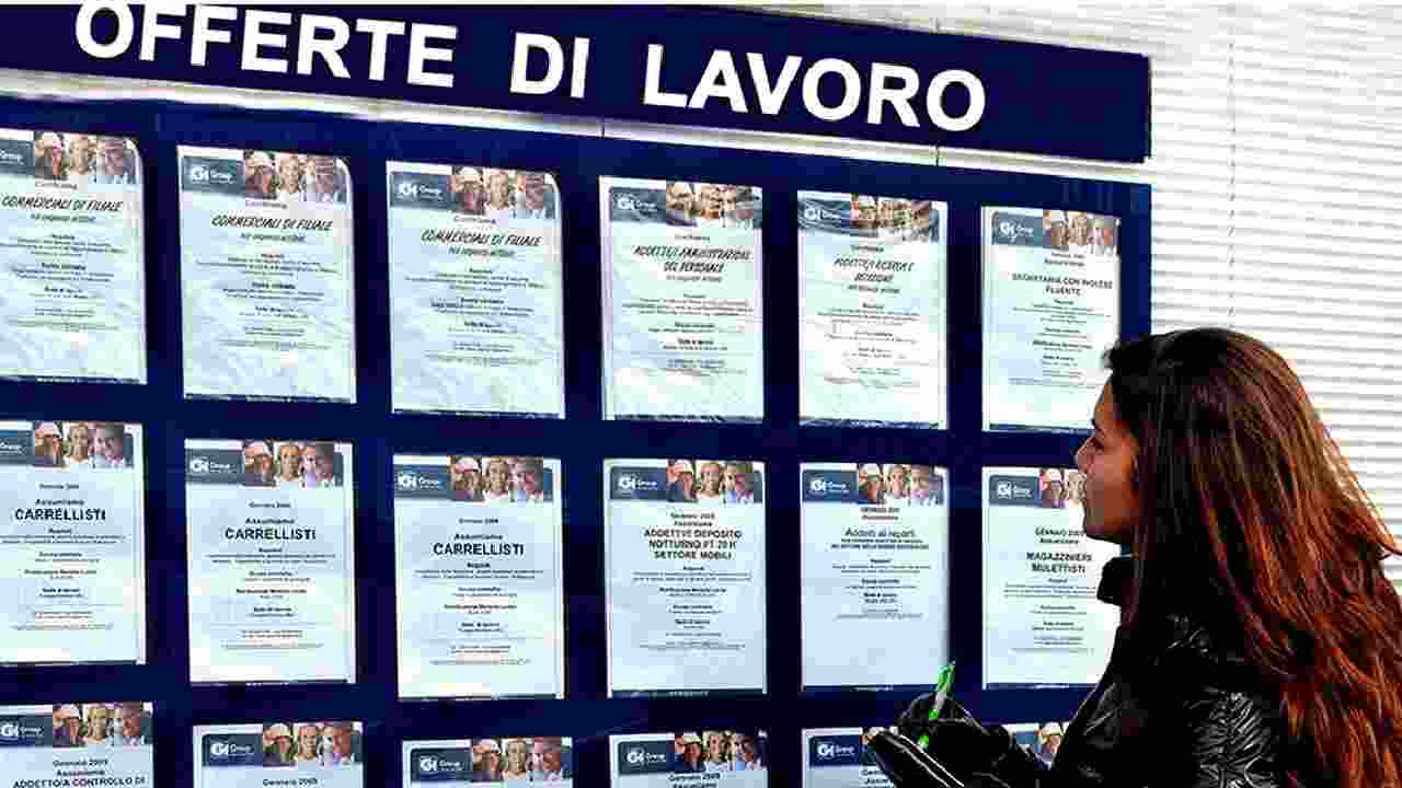 offerte lavoro